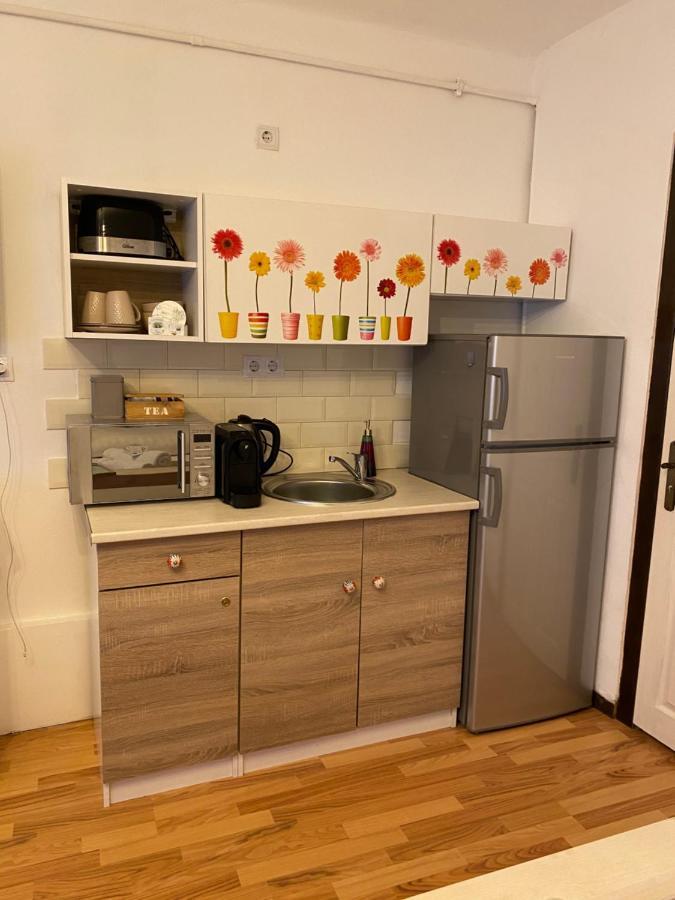 Charming Apartament Сібіу Екстер'єр фото